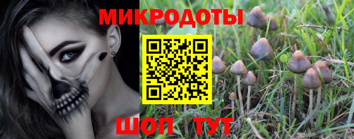 Псилоцибиновые грибы мицелий Советская Гавань